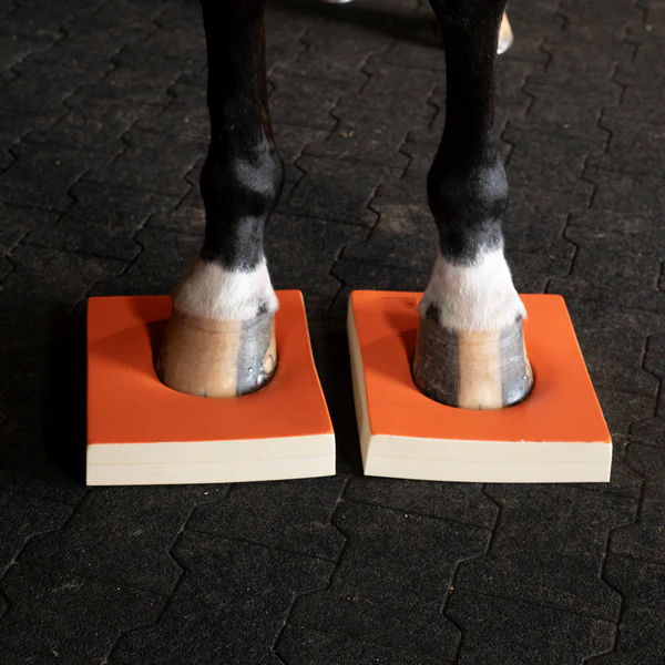 Advanced Horse Balance Training Set – Firm Stability & Core Strength Development Kit