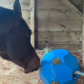 Horse Hay Spinner Toy – Durable Design for Daily Play