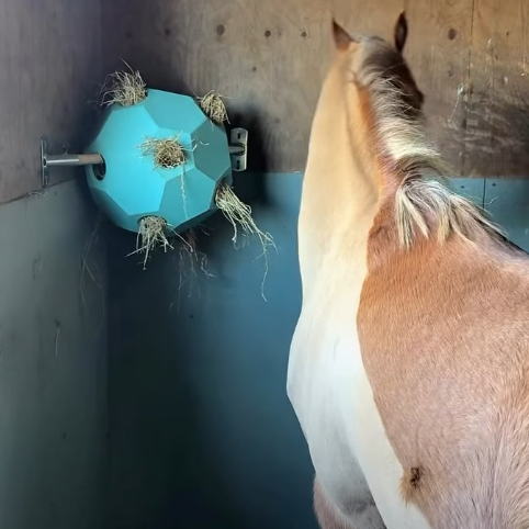 Horse Hay Spinner Toy – Durable Design for Daily Play