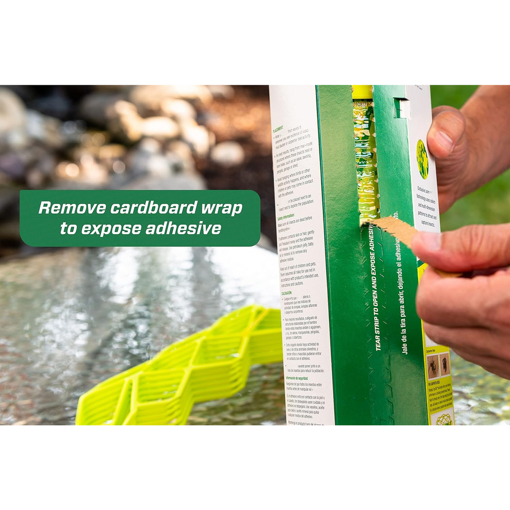 Trap Wasps, Mud Daubers & Bees Instantly!