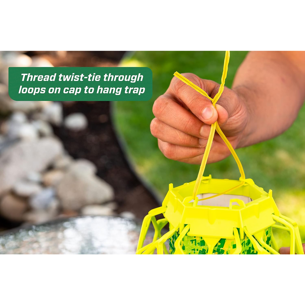 Trap Wasps, Mud Daubers & Bees Instantly!