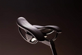 Dynamic Motion Bike Seat