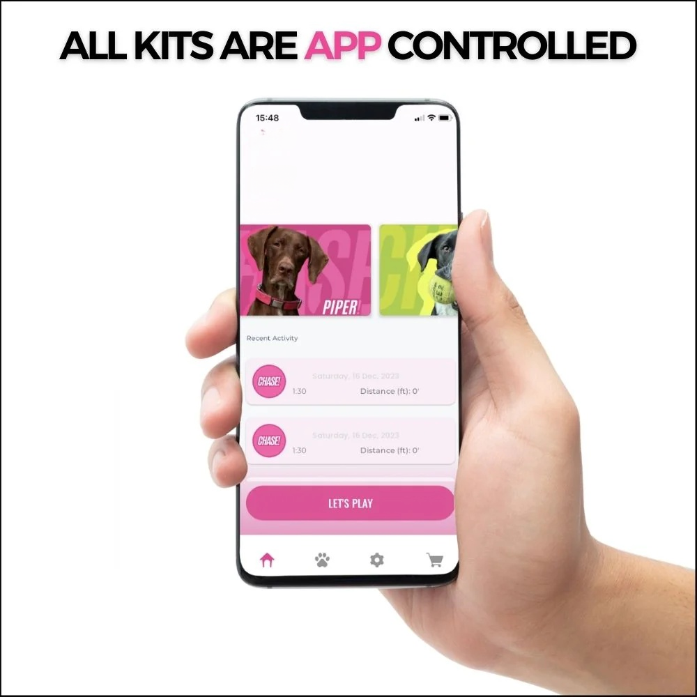 Burn Energy Fast — Keep Your Dog Happy & Active