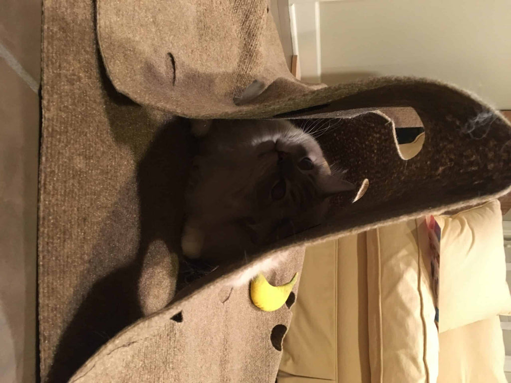Interactive Transformable Adjustable Cat Play Mat with Tunnel Caves | Built for Scratching & Hunting