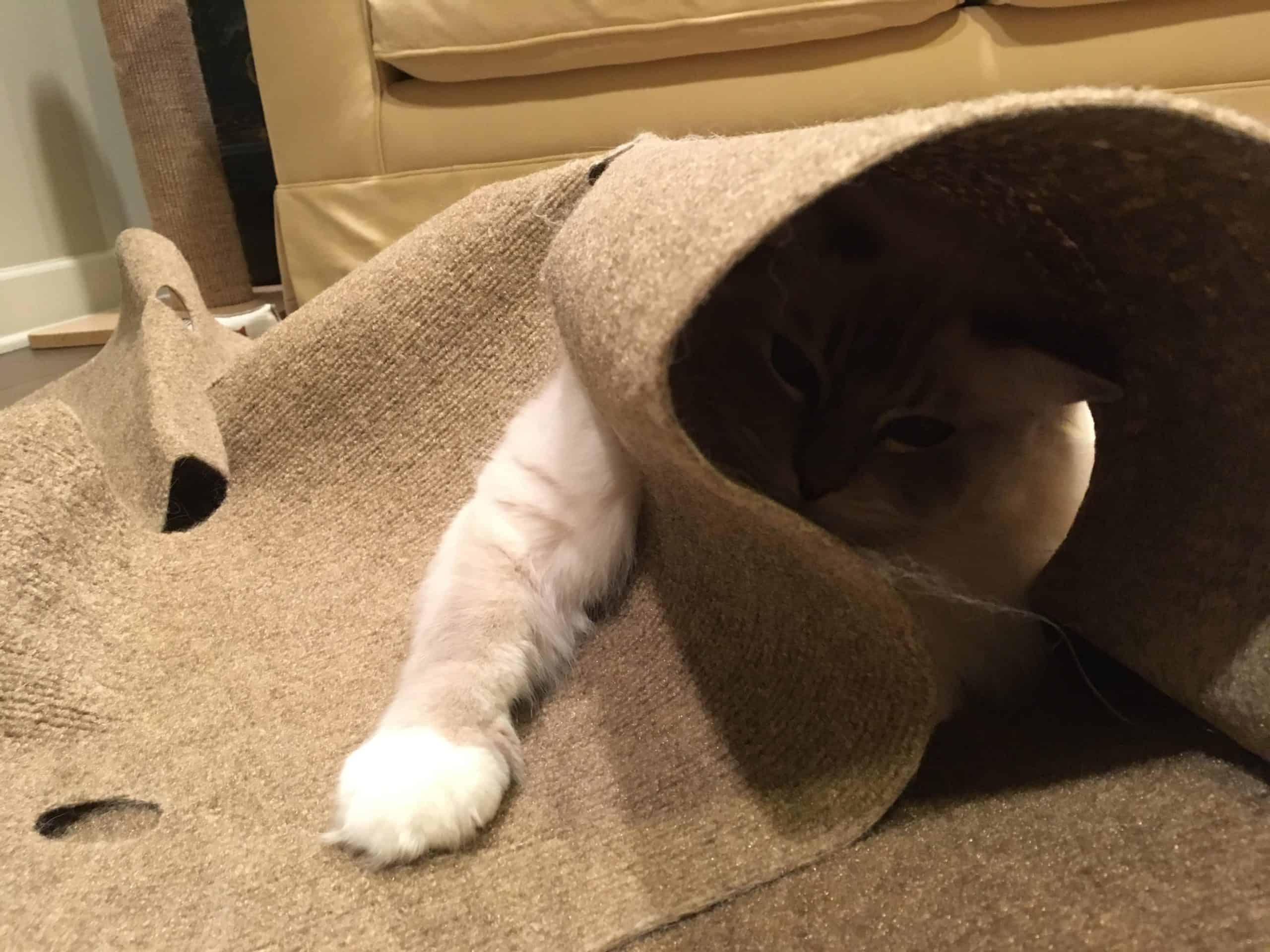 Interactive Transformable Adjustable Cat Play Mat with Tunnel Caves | Built for Scratching & Hunting